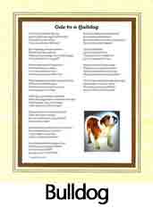 Click Here to View Bulldog Ode