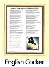 Click Here to View English Cocker Ode