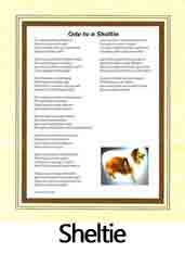 Click Here to View Sheltie Ode