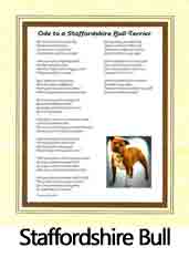 Click Here to View Staffordshire Bull Terrier Ode